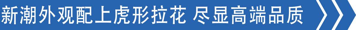 双悬浮屏、八气囊悬挂+AMT C9H图解