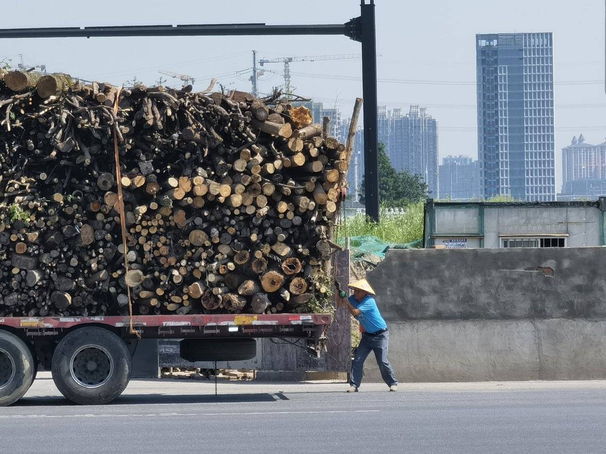 国务院发声！严惩货运领域这些违法问题